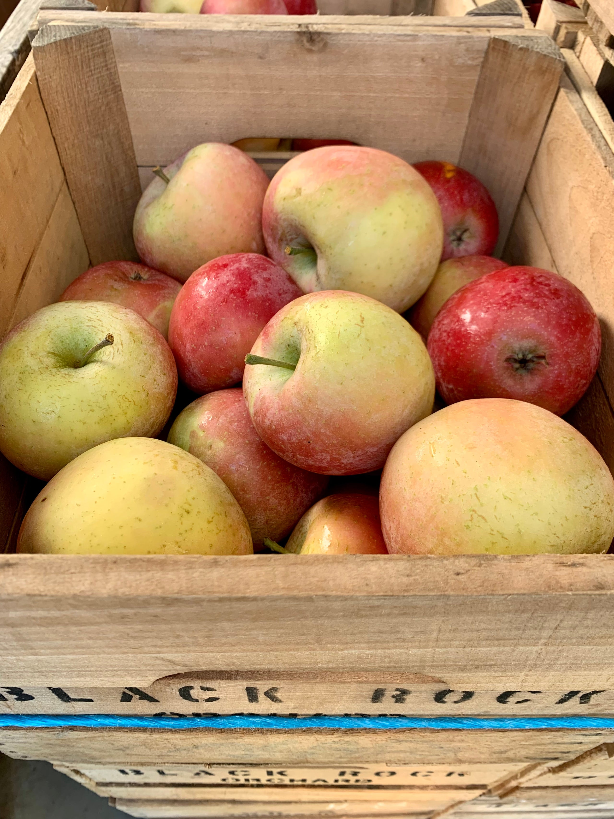 Fuji Apples, Apples